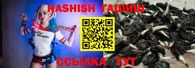 гидра Краснодар