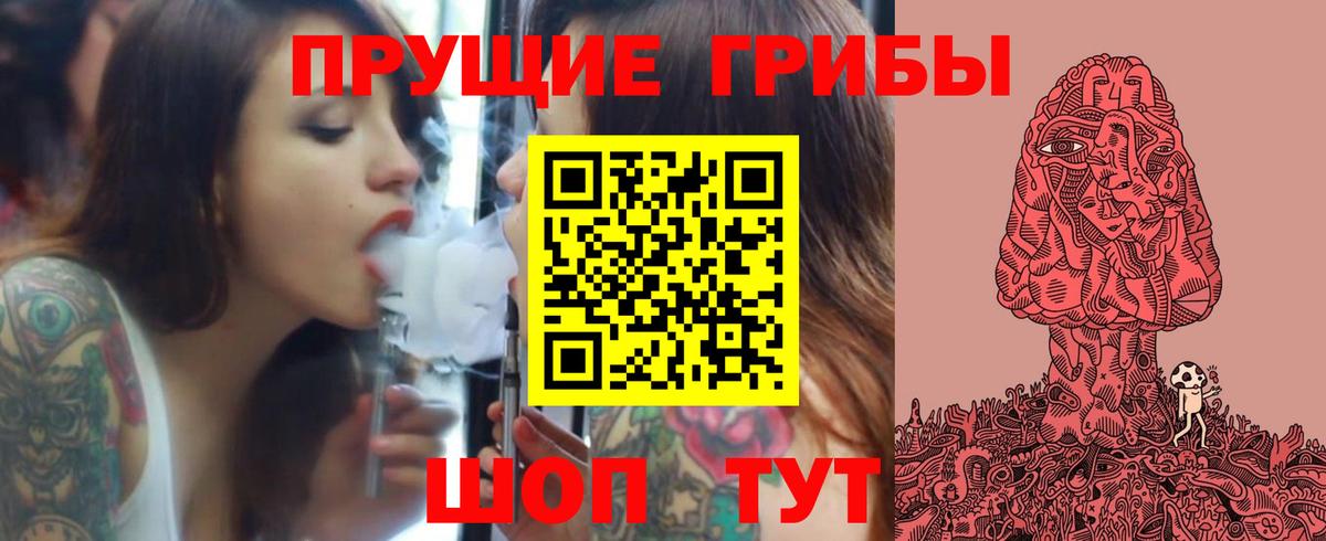 где купить наркоту  Вход с VPN  Кисловодск  Псилоцибиновые грибы Psilocybe 